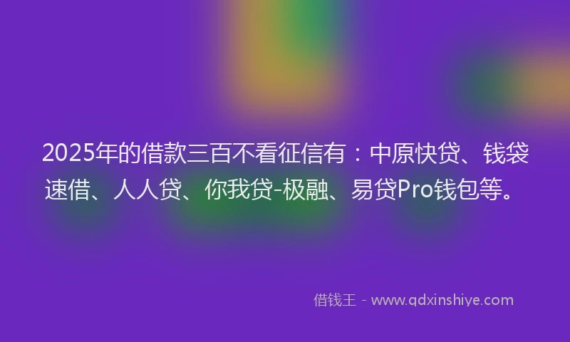 2025年的借款三百不看征信有：中原快贷、钱袋速借、人人贷、你我贷-极融、易贷Pro钱包等。