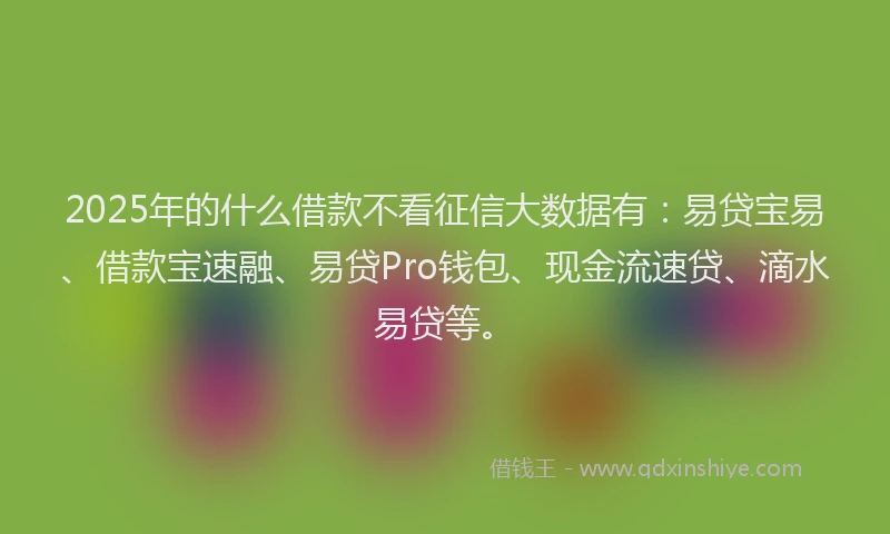 2025年的什么借款不看征信大数据有：易贷宝易、借款宝速融、易贷Pro钱包、现金流速贷、滴水易贷等。