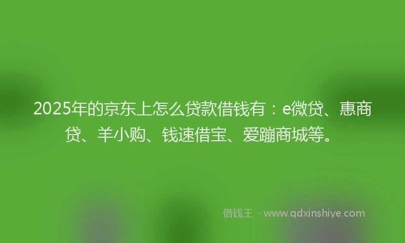 2025年的京东上怎么贷款借钱有：e微贷、惠商贷、羊小购、钱速借宝、爱蹦商城等。