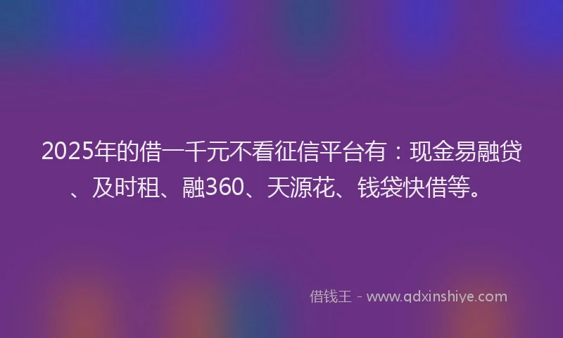 2025年的借一千元不看征信平台有：现金易融贷、及时租、融360、天源花、钱袋快借等。