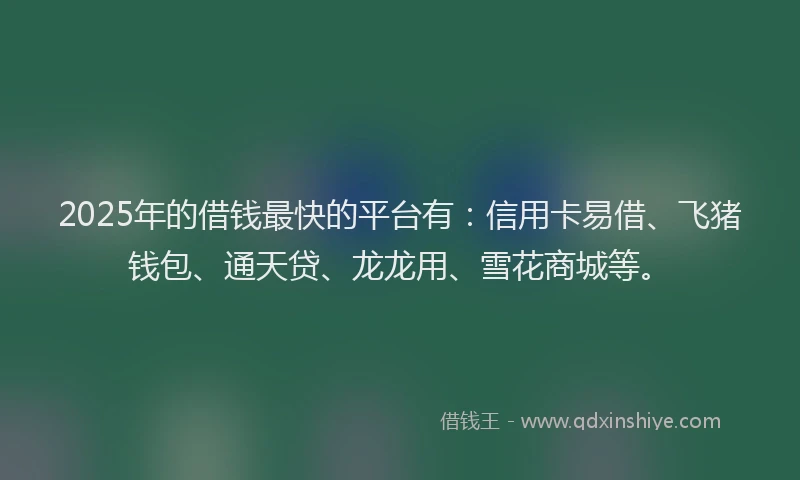 2025年的借钱最快的平台有：信用卡易借、飞猪钱包、通天贷、龙龙用、雪花商城等。