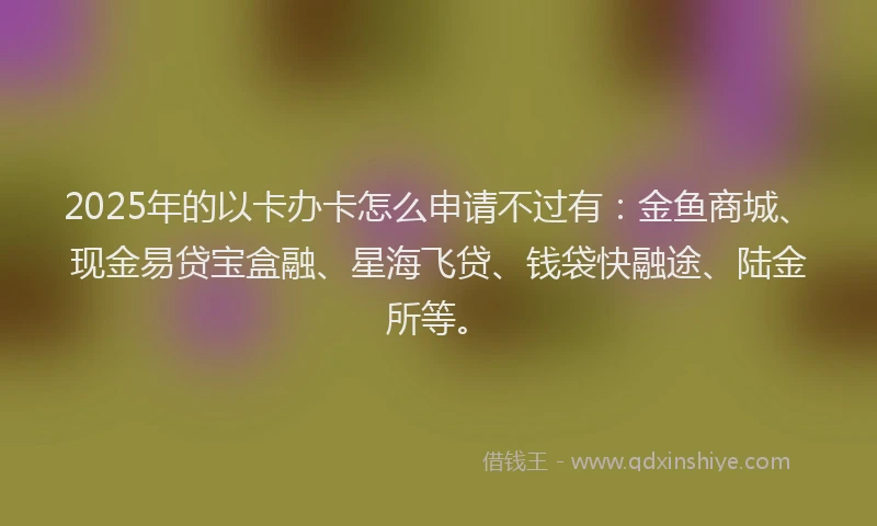 2025年的以卡办卡怎么申请不过有：金鱼商城、现金易贷宝盒融、星海飞贷、钱袋快融途、陆金所等。
