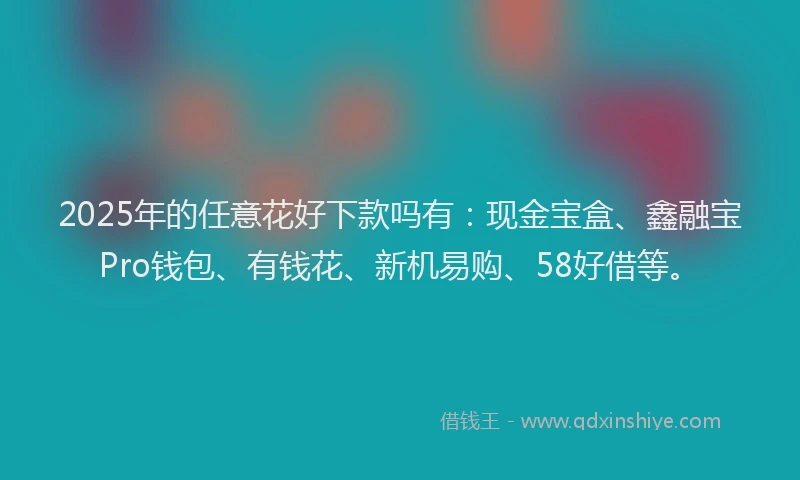 2025年的任意花好下款吗有：现金宝盒、鑫融宝Pro钱包、有钱花、新机易购、58好借等。