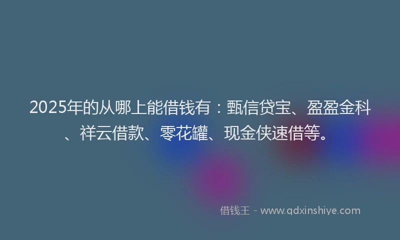 2025年的从哪上能借钱有：甄信贷宝、盈盈金科、祥云借款、零花罐、现金侠速借等。