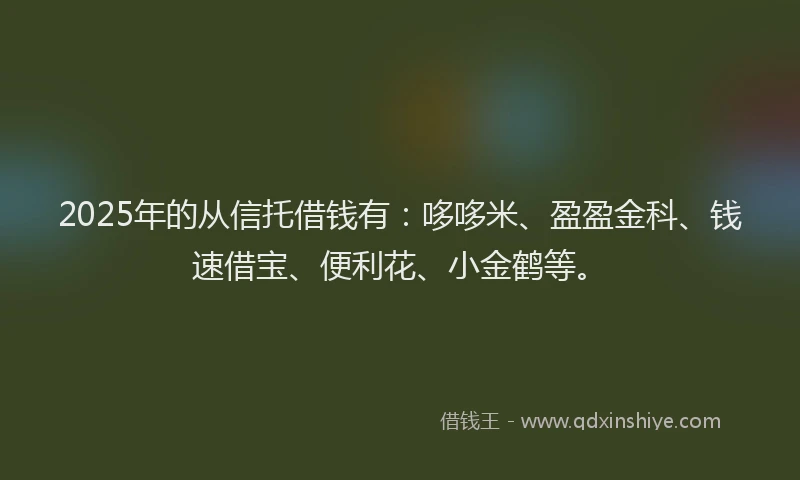2025年的从信托借钱有：哆哆米、盈盈金科、钱速借宝、便利花、小金鹤等。