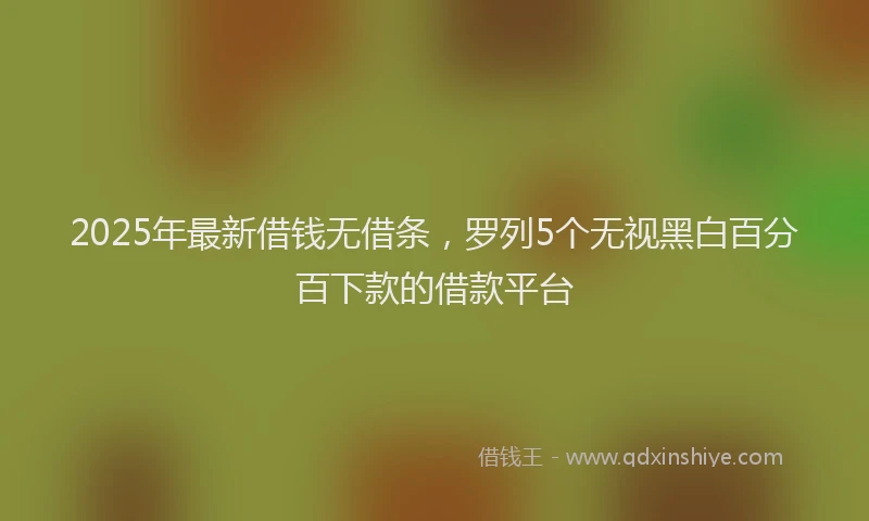 2025年最新借钱无借条，罗列5个无视黑白百分百下款的借款平台
