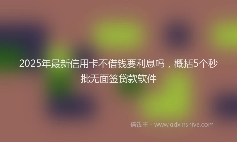 2025年最新信用卡不借钱要利息吗，概括5个秒批无面签贷款软件