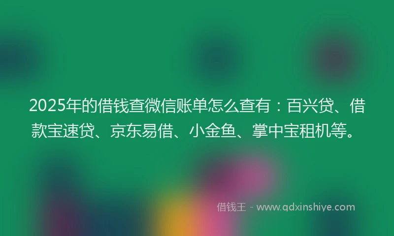 2025年的借钱查微信账单怎么查有：百兴贷、借款宝速贷、京东易借、小金鱼、掌中宝租机等。