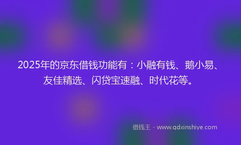 2025年的京东借钱功能有：小融有钱、鹅小易、友佳精选、闪贷宝速融、时代花等。