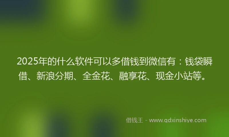 2025年的什么软件可以多借钱到微信有：钱袋瞬借、新浪分期、全金花、融享花、现金小站等。