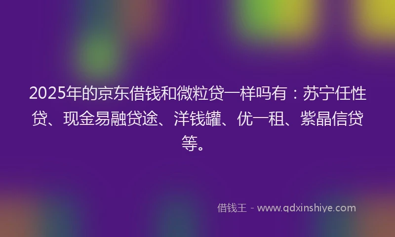 2025年的京东借钱和微粒贷一样吗有：苏宁任性贷、现金易融贷途、洋钱罐、优一租、紫晶信贷等。