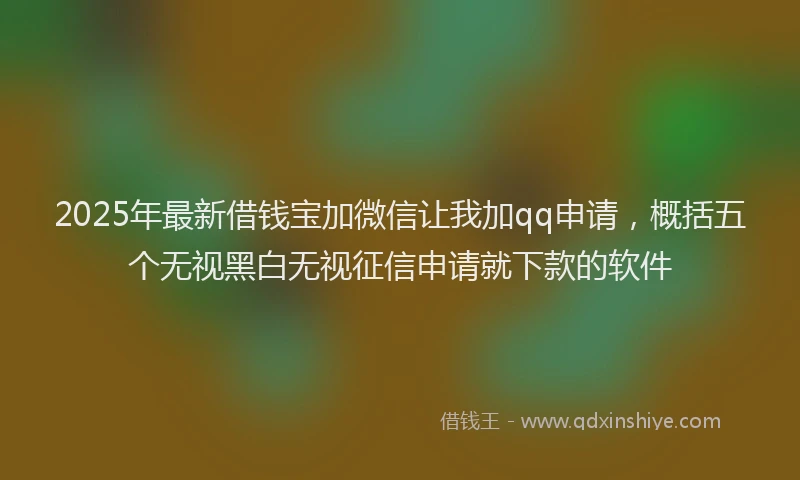 2025年最新借钱宝加微信让我加qq申请，概括五个无视黑白无视征信申请就下款的软件