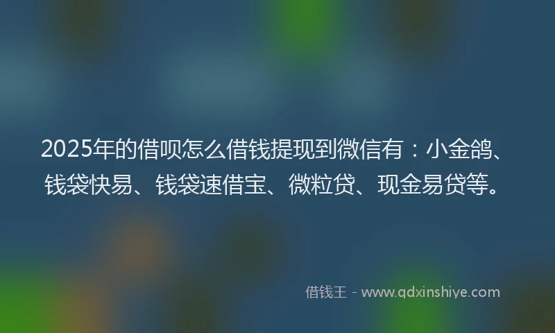 2025年的借呗怎么借钱提现到微信有：小金鸽、钱袋快易、钱袋速借宝、微粒贷、现金易贷等。