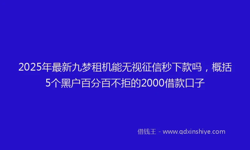 2025年最新九梦租机能无视征信秒下款吗，概括5个黑户百分百不拒的2000借款口子