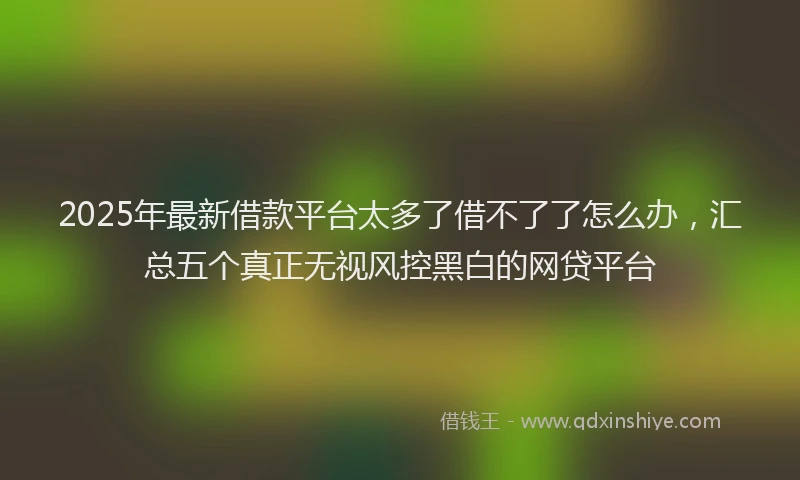 2025年最新借款平台太多了借不了了怎么办，汇总五个真正无视风控黑白的网贷平台