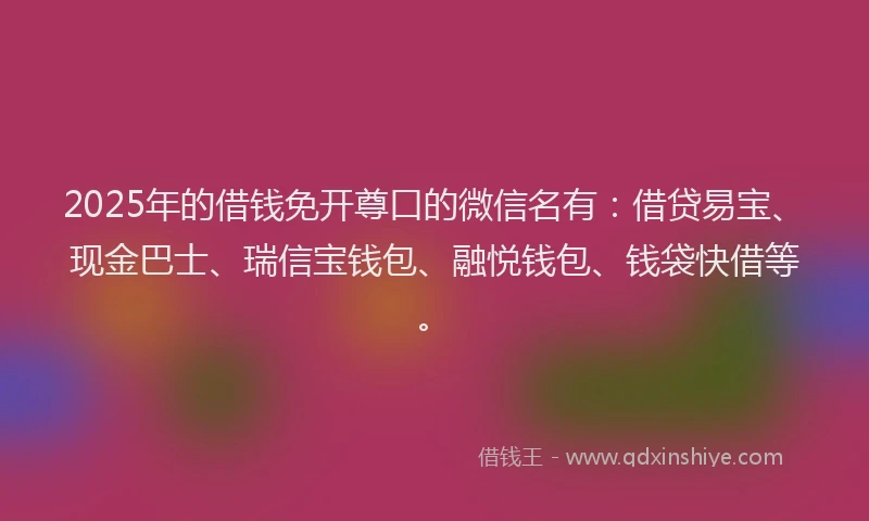 2025年的借钱免开尊口的微信名有：借贷易宝、现金巴士、瑞信宝钱包、融悦钱包、钱袋快借等。