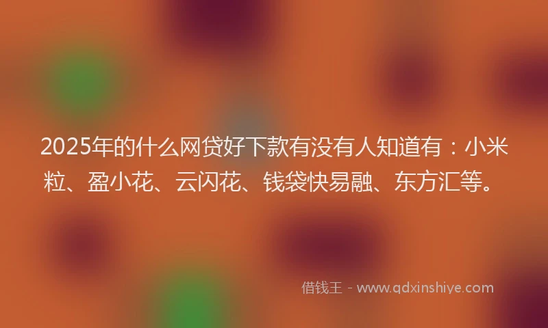 2025年的什么网贷好下款有没有人知道有：小米粒、盈小花、云闪花、钱袋快易融、东方汇等。