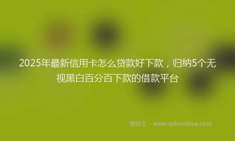 2025年最新信用卡怎么贷款好下款，归纳5个无视黑白百分百下款的借款平台