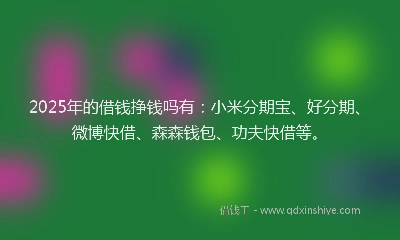 2025年的借钱挣钱吗有：小米分期宝、好分期、微博快借、森森钱包、功夫快借等。