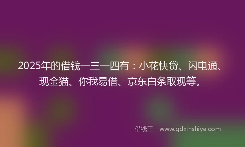 2025年的借钱一三一四有：小花快贷、闪电通、现金猫、你我易借、京东白条取现等。