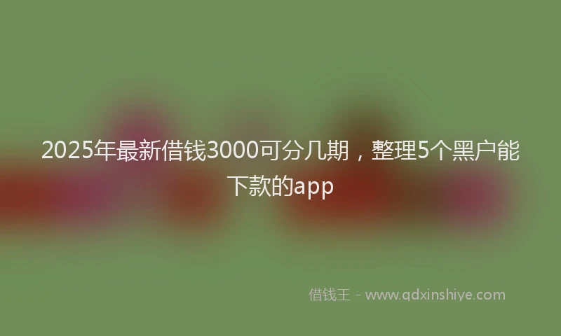 2025年最新借钱3000可分几期，整理5个黑户能下款的app