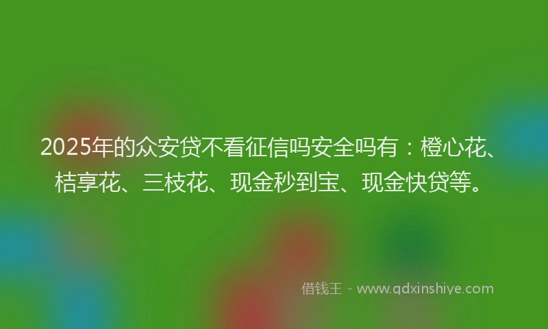 2025年的众安贷不看征信吗安全吗有：橙心花、桔享花、三枝花、现金秒到宝、现金快贷等。