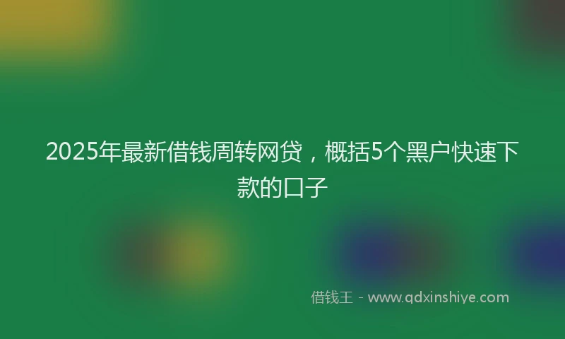 2025年最新借钱周转网贷，概括5个黑户快速下款的口子