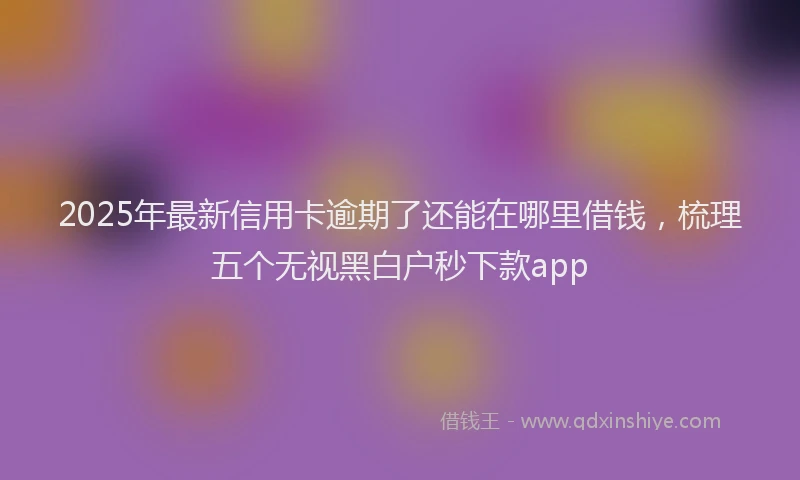 2025年最新信用卡逾期了还能在哪里借钱，梳理五个无视黑白户秒下款app