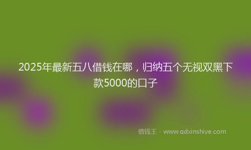 2025年最新五八借钱在哪，归纳五个无视双黑下款5000的口子