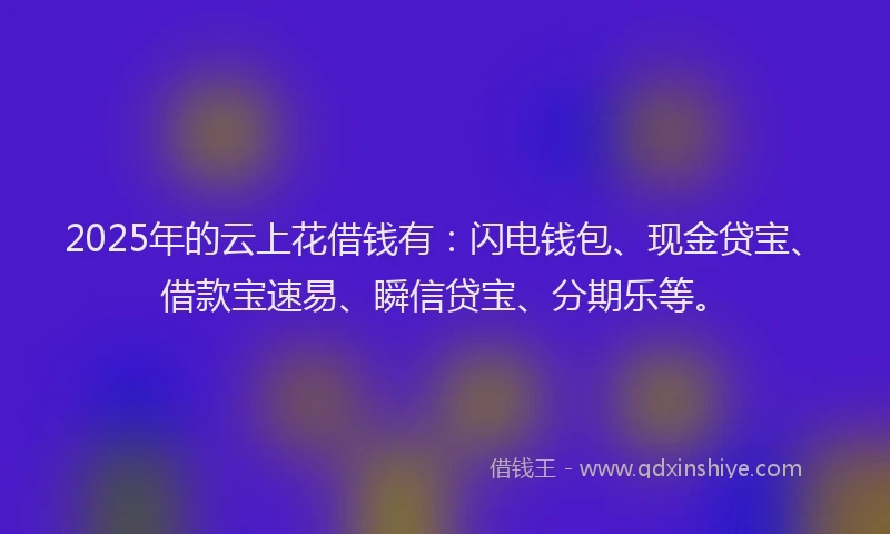 2025年的云上花借钱有：闪电钱包、现金贷宝、借款宝速易、瞬信贷宝、分期乐等。