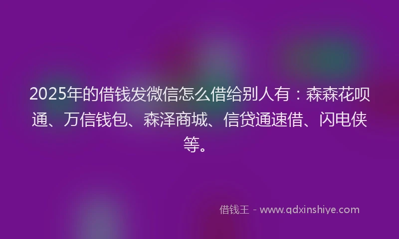 2025年的借钱发微信怎么借给别人有：森森花呗通、万信钱包、森泽商城、信贷通速借、闪电侠等。