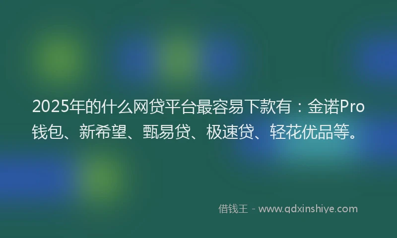 2025年的什么网贷平台最容易下款有：金诺Pro钱包、新希望、甄易贷、极速贷、轻花优品等。