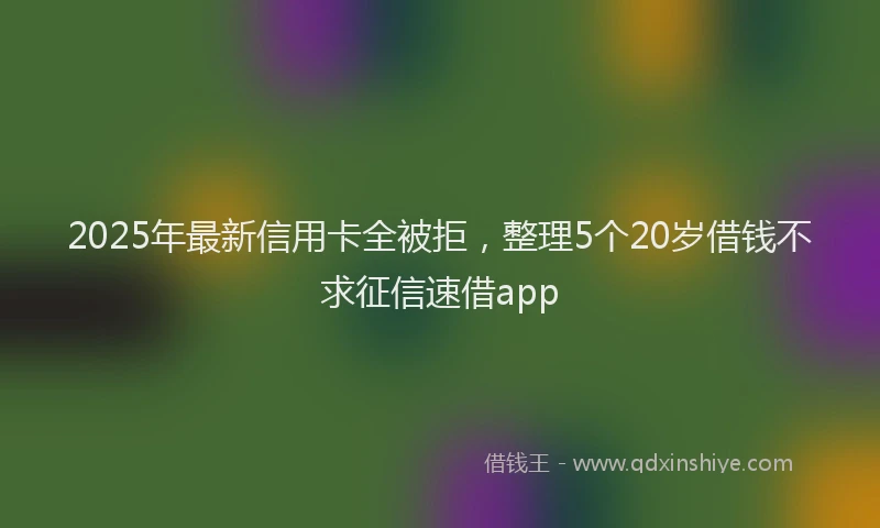 2025年最新信用卡全被拒，整理5个20岁借钱不求征信速借app
