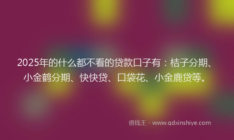 2025年的什么都不看的贷款口子有：桔子分期、小金鹤分期、快快贷、口袋花、小金鹿贷等。