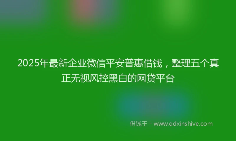 2025年最新企业微信平安普惠借钱，整理五个真正无视风控黑白的网贷平台