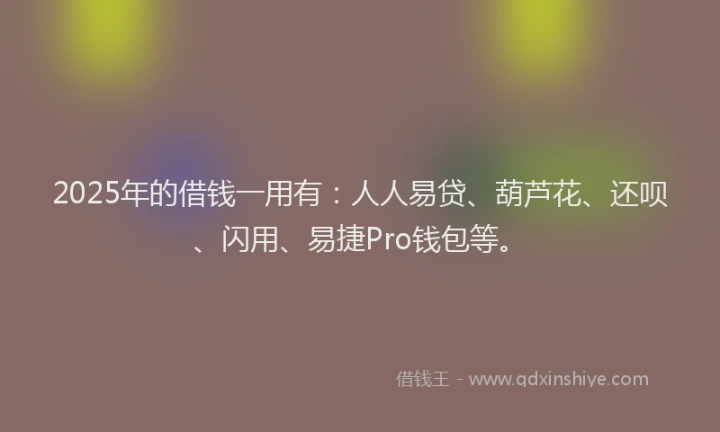 2025年的借钱一用有：人人易贷、葫芦花、还呗、闪用、易捷Pro钱包等。