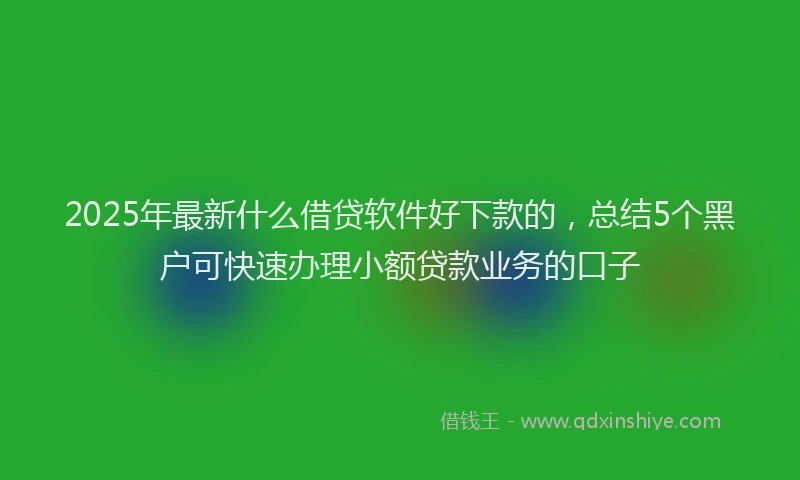 2025年最新什么借贷软件好下款的，总结5个黑户可快速办理小额贷款业务的口子