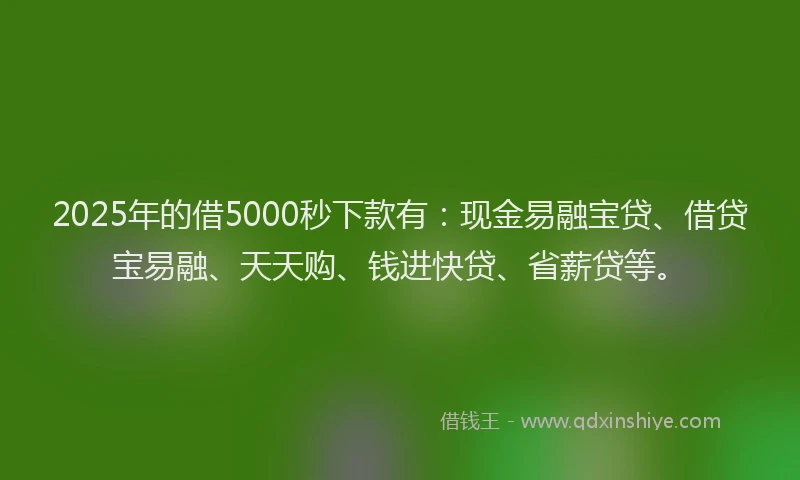 2025年的借5000秒下款有：现金易融宝贷、借贷宝易融、天天购、钱进快贷、省薪贷等。