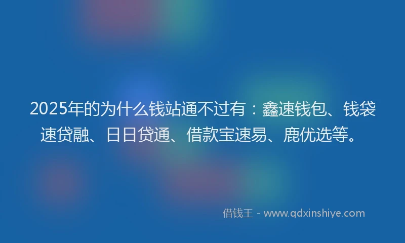 2025年的为什么钱站通不过有：鑫速钱包、钱袋速贷融、日日贷通、借款宝速易、鹿优选等。
