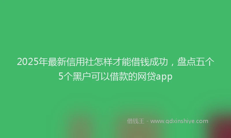 2025年最新信用社怎样才能借钱成功，盘点五个5个黑户可以借款的网贷app