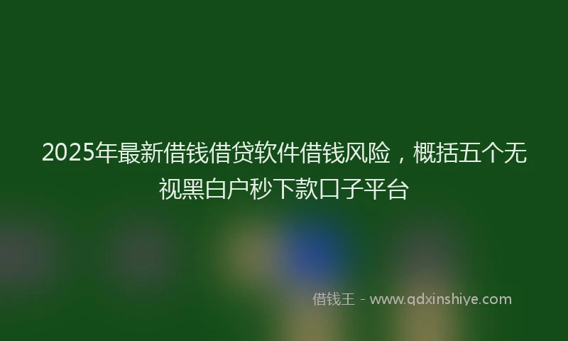 2025年最新借钱借贷软件借钱风险，概括五个无视黑白户秒下款口子平台