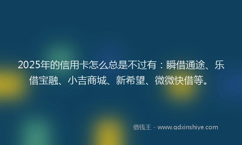 2025年的信用卡怎么总是不过有：瞬借通途、乐借宝融、小吉商城、新希望、微微快借等。