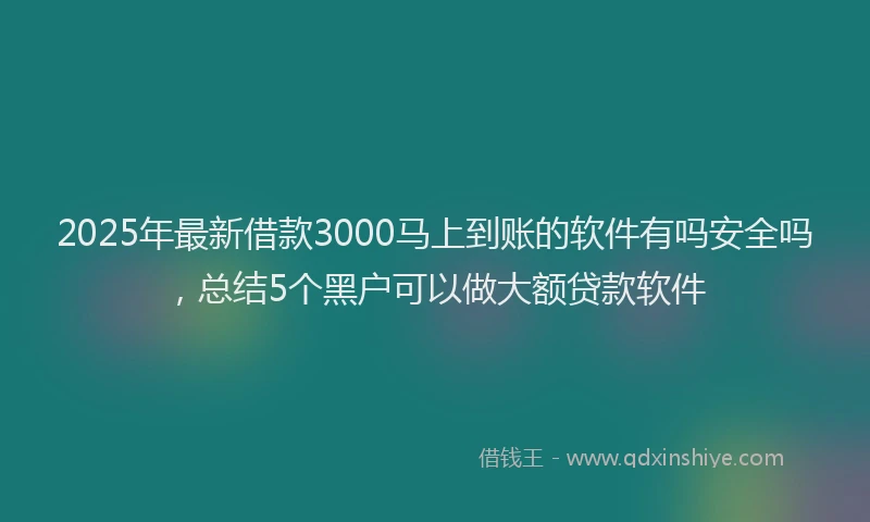 2025年最新借款3000马上到账的软件有吗安全吗，总结5个黑户可以做大额贷款软件