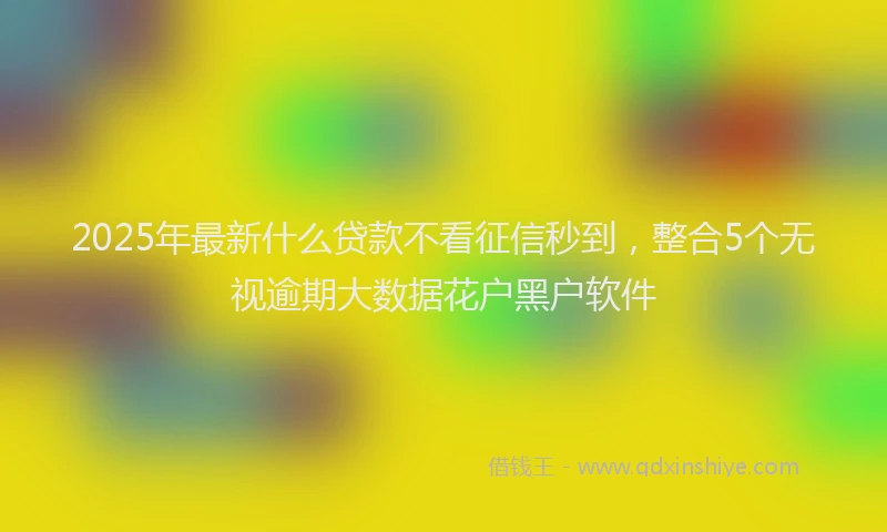 2025年最新什么贷款不看征信秒到，整合5个无视逾期大数据花户黑户软件