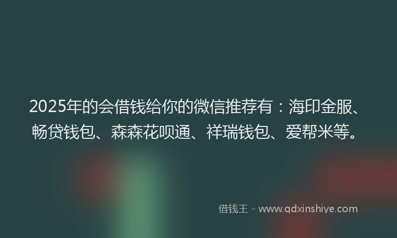 2025年的会借钱给你的微信推荐有：海印金服、畅贷钱包、森森花呗通、祥瑞钱包、爱帮米等。