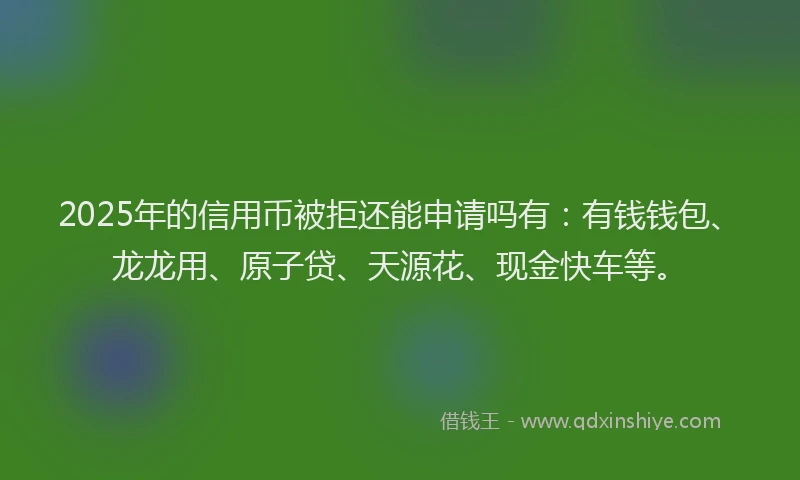 2025年的信用币被拒还能申请吗有：有钱钱包、龙龙用、原子贷、天源花、现金快车等。