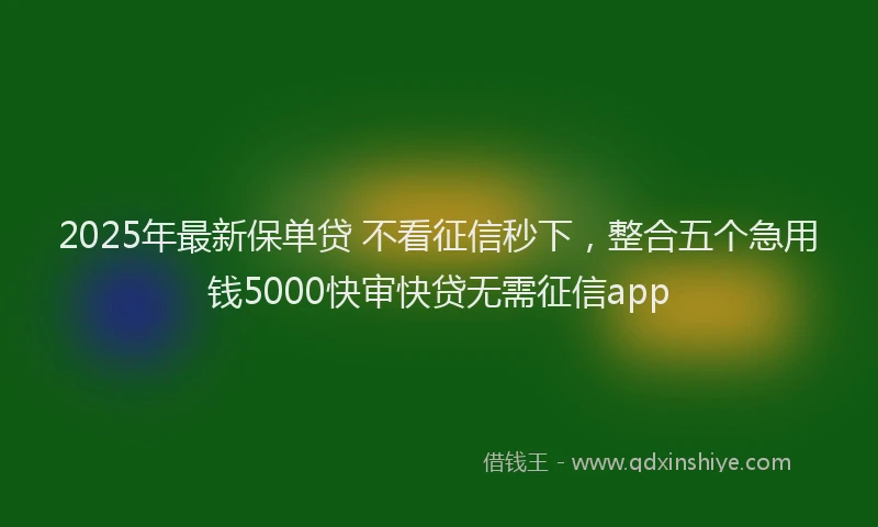 2025年最新保单贷 不看征信秒下，整合五个急用钱5000快审快贷无需征信app