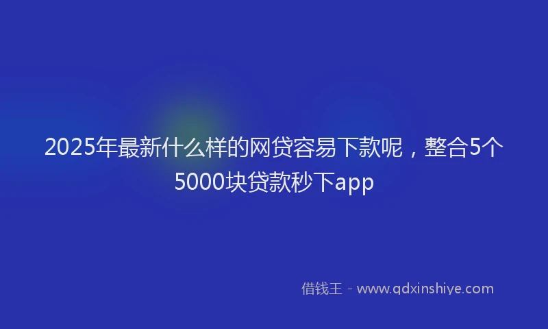 2025年最新什么样的网贷容易下款呢，整合5个5000块贷款秒下app