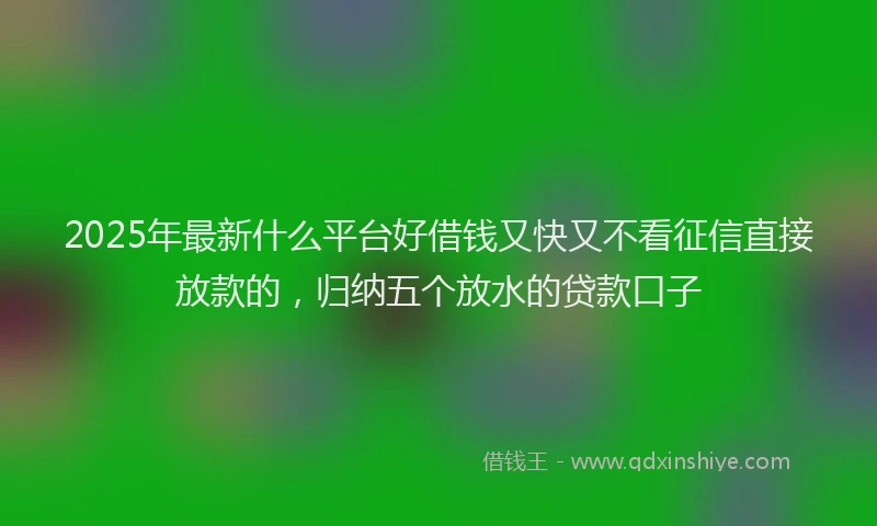 2025年最新什么平台好借钱又快又不看征信直接放款的，归纳五个放水的贷款口子
