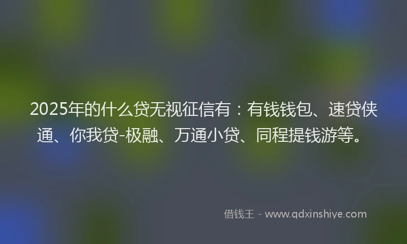 2025年的什么贷无视征信有：有钱钱包、速贷侠通、你我贷-极融、万通小贷、同程提钱游等。